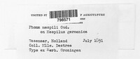 Image Associated With the Occurence